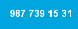 987 739 15 31 987 739 15 31